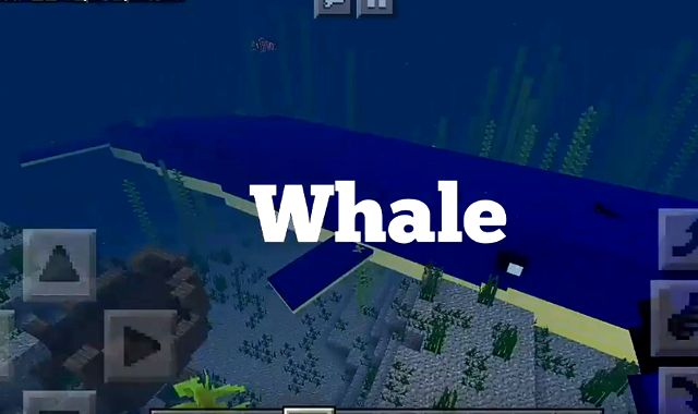 Oceanic mod for MCPE 1.10.0.4 for Android