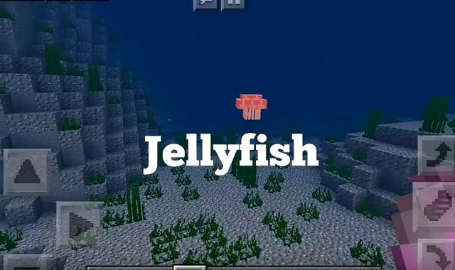 Oceanic mod for MCPE 1.10.0.4 for Android