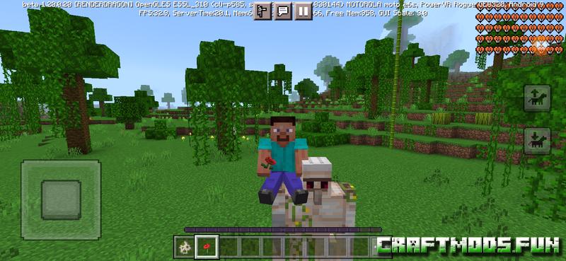 Ridable pets Mod Minecraft PE 1.20 for iOS, Android
