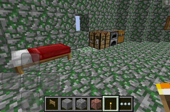 Pocket Edition Card
