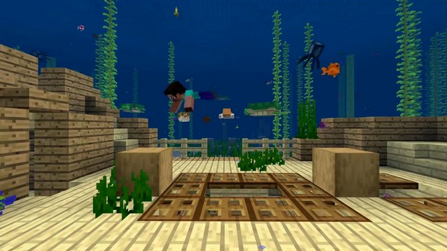 Minecraft 1.13 - Aquatic Update
