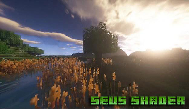 Download shaders SEUS v11 for Minecraft 1.12.2