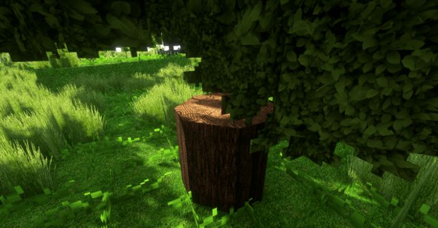 Download texture Vision Realistic on Minecraft 1.13.2
