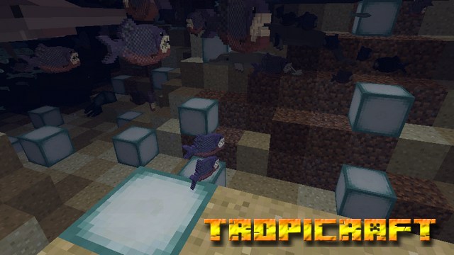 Tropicraft mod on Minecraft 1.12.2
