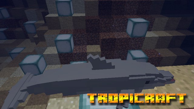 Tropicraft mod on Minecraft 1.12.2