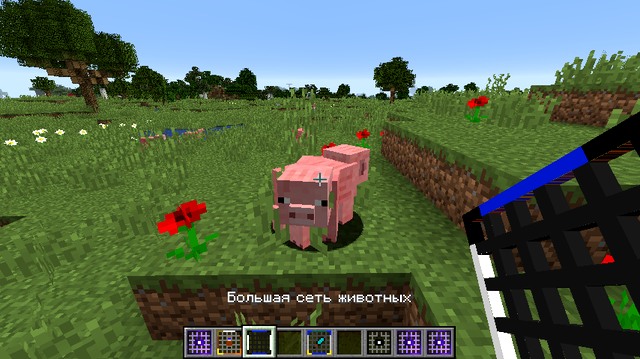 Mod AnimalNet on Minecraft 1.13.2