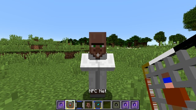 Mod AnimalNet on Minecraft 1.13.2