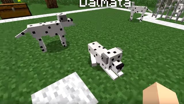 Download free dog mod for Minecraft 1.7.10