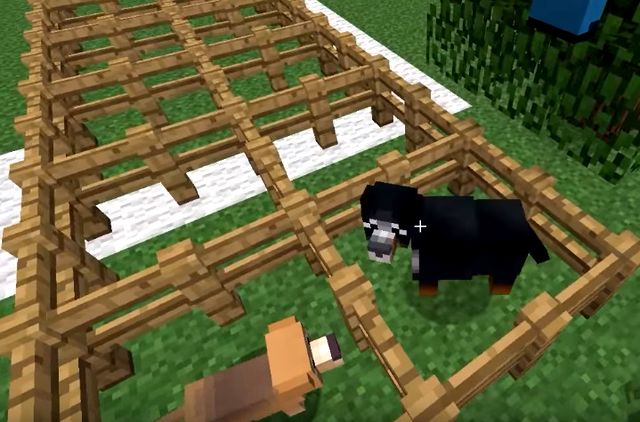 Download free dog mod for Minecraft 1.7.10