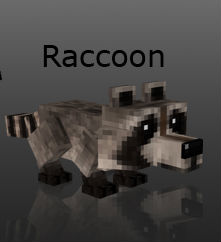 Raccoon / Minecraft mod 1.5.2